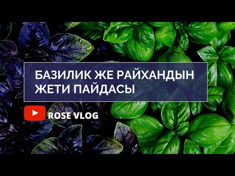 Video: Мия базилик деген эмне: райхан «Мияны» өстүрүү боюнча колдонмо