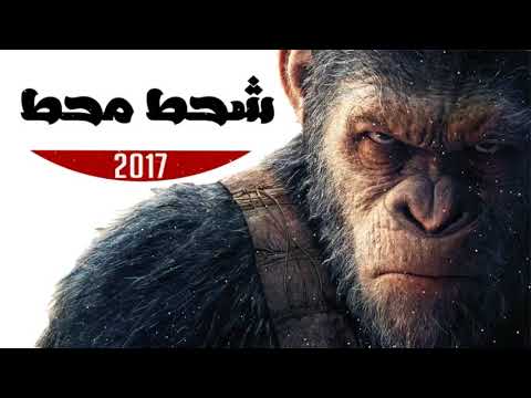 مهرجان شحط محط الجزء الرابع الرملاويه مهرجانات 2018 جديد مهرجنات