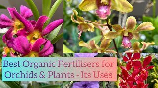 BEST ORGANIC FERTILISERS  FOR ORCHIDS AND PLANTS AND ITS USES