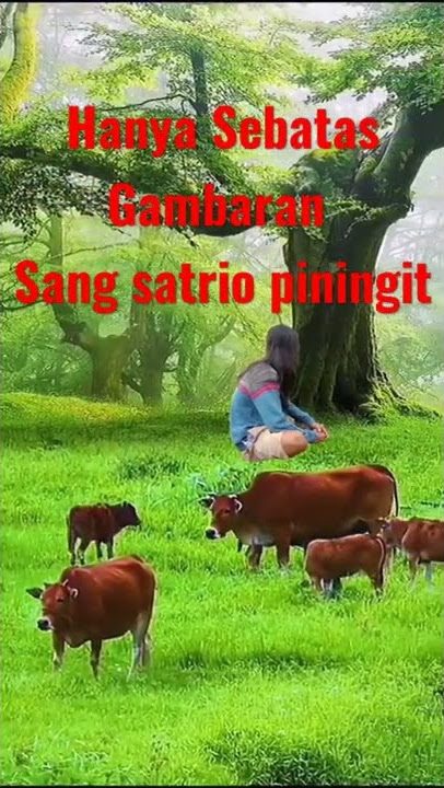 lir Ilir bocah angon Satrio piningit #satriopiningitterbaru #bocahangon #ratuadil