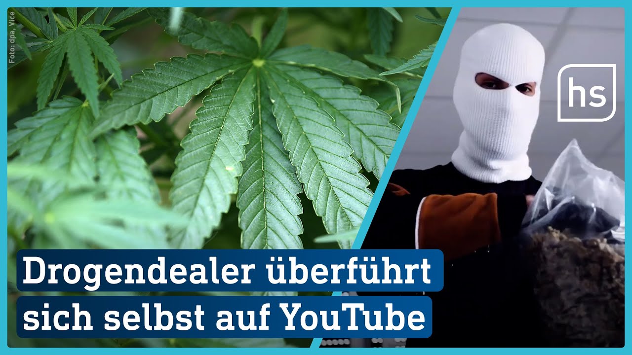 DCVDNS - Ein Dealer Zahlt Bar