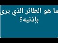 ما هو الطائر الذي يرى بإذنيه ؟  من 6 حروف /