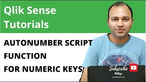 Qlik Sense Auto number Script function for creation of Automatic Numeric Keys