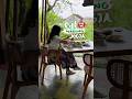 Warung prasmanan makanan rumahan di Jogja #kulinerjogja #jogja