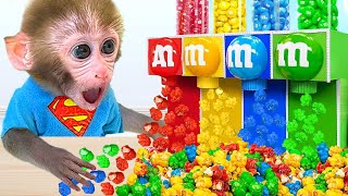 Download Lagu Mono Bon Bon y su Divertida Aventura de Jardinería - Animal HT ESP MP3 Download Lagu Mono Bon Bon y su Divertida Aventura de Jardinería - Animal HT ESP MP3