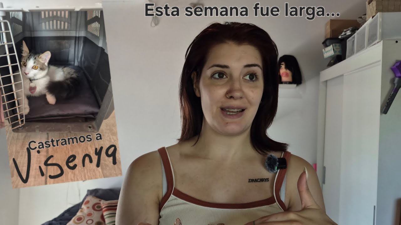 Una semana larga.... + castramos a Visenya 