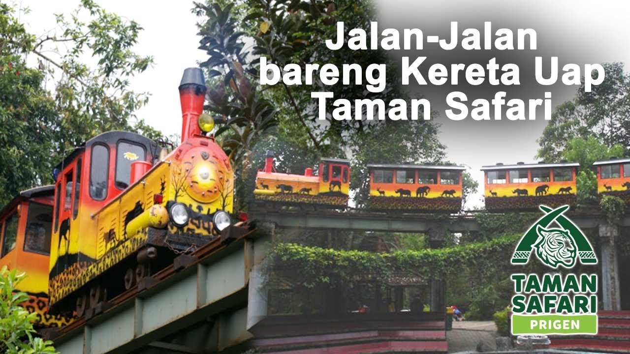 grantnsaipan Taman Safari Bogor Naik Kereta