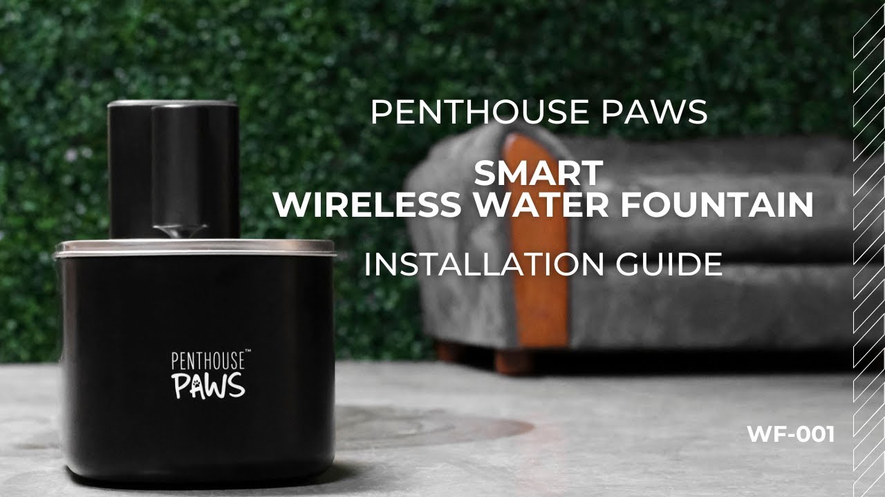 Smart Wireless Water Fountain Installation Guide! - YouTube