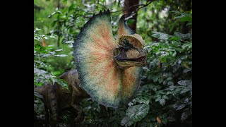 6 animals that are about to go extinct!!!