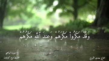 عندما يتخطى القارئ حدود الروعة والجمال ينتج هذا الصوت !! القارئ كوشيت نوح 🇩🇿