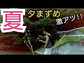【ゲーリーヤマモト】真夏の夕まずめにカットテールノーシンカーワッキーで釣ってみた【バス釣り】