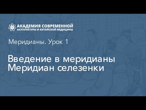 Меридиан селезенки. Дистанционный курс рефлексотерапии. Академия акупунктуры Акумед.