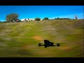 Psycho Quad