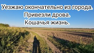 Уезжаю окончательно из города. Привезли дрова. Кошачья жизнь.