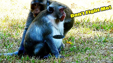 Be careful Jane!! Joey Came To Check Amber Now Please Go Away.