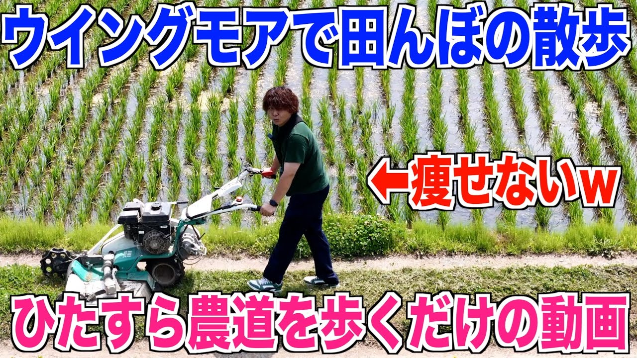 草刈り】ウイングモアでひたすら散歩しまくるだけの動画 30代米作り 