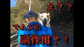 Kvmitb8mjxu77m Kvmitb8mjxu77m