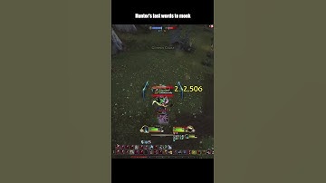 Hunter wanted to kill this monk so badly #retail #wow #pvp #warwithin