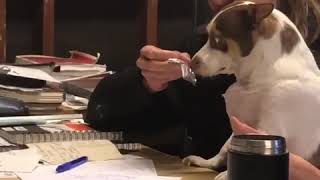 GET DOWN MR.BUBZ!