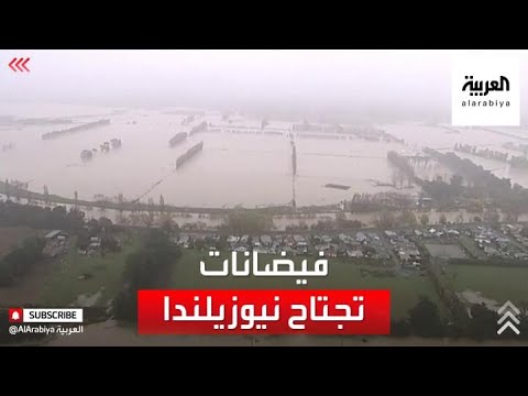 فيديو: كيفية جعل غرفة لكلب الكلب