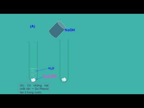 Video Mô phỏng Phenol tác dụng với dung dịch NaOH - youtube