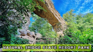 Natural Bridge  Natural Bridge State Park  Natural Bridge Kentucky  Red River Gorge