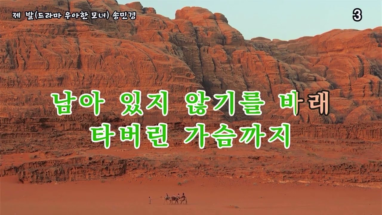 연속 연주 14곡(해운대에서 외), #가요, #노래, #휴식, #힐링, #shorts, #잔잔한, #발라드, #조용한, #기쁨, #kpop