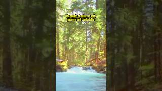 The sounds of nature is soft, peaceful and comfortable #shorts #soundsofnature #peaceful #nature