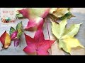 How to Preserve Leaves (comparing Glycerin Bath to other methods)