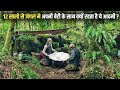 12 years live in the amazon jungle she is unaware of the real world  film explained in hindi