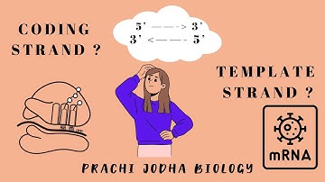 Questions Based on Coding Strand of Transcription| Molecular Basis of Inheritance|#neet2024strategy