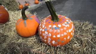 2015 Great Pumpkin Roll