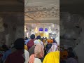🙏🫀 Amritsar / Golden Temple Harmander Sahib / Sikh History #youtube #amritsar