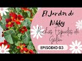 El Jardín de Nikky, ep 03  &quot;Muchas Espuelas de Galán&quot;