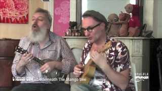 L'Hebdo 2014 n°13 : Underneath The Mango Tree