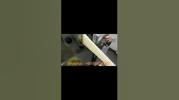 Expanded potato chip processing machine video