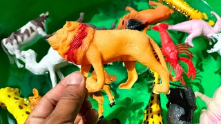 Plastic Animals Toys Set Unboxing Video Rhinoceros Cats Zebra Elephant Giraffe Leopard Dog Lion Cow screenshot 4
