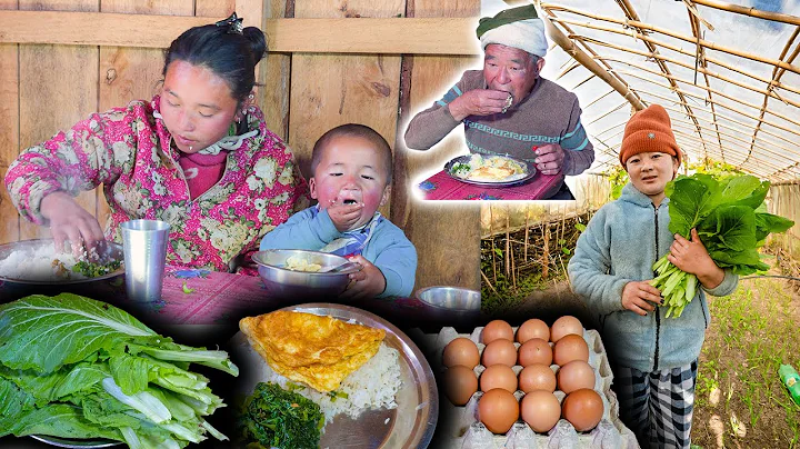 Egg Omelette & organic Mustard (RAYO) recipe with Rice cooking & eating || Nepali village Food Vlog