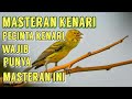 Masteran Kenari Pencinta Kenari Wajib Punya Mp3 - Mp4 Download