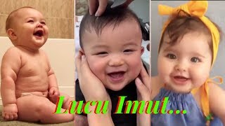 Video Kumpulan Bayi Lucu Ketawa Ngakak Bikin Gemes