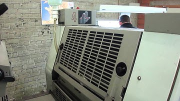 DOMINANT 547P VIDEO 1