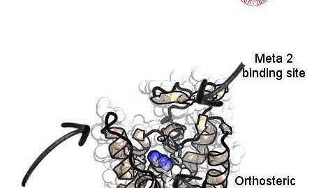 T4G hA2A Adenosine Receptor Recognition Supervised Molecular Dynamics