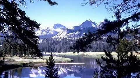 تلاوه تحرك مشاعر الآلاف في يوتيوب ناصر القطامي.