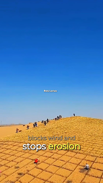 How Sandbags Fight the Desert 🏜️