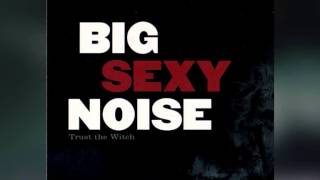 Miniatura de vídeo de "Big Sexy Noise: Trust The Witch"
