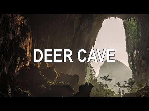 Video: Hur stor är Deer Cave i Borneo?