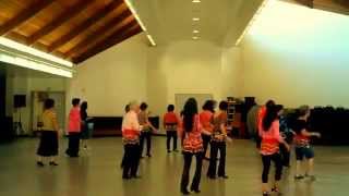 dance line bird fly walk anna