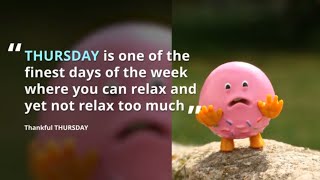 Best THURSDAY Greetings,Quotes,Funny SMS,Thankful THURSDAY Quotes and  Sayings - YouTube