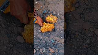 Gold Detector #golddetectors #metaldetecting #treasuresearch #snake #treasuretrove