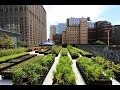 Cómo Realizar una Agricultura Urbana - TvAgro por Juan Gonzalo Angel